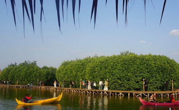 maron mangrove edupark semarang