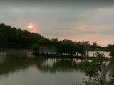 wisata mangrove tapak 0a